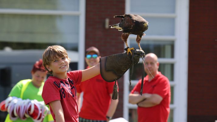 Spectaculaire roofvogel show bij Woutje Brugge Nolina huttenbouw
