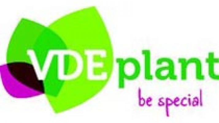 VDE Plant